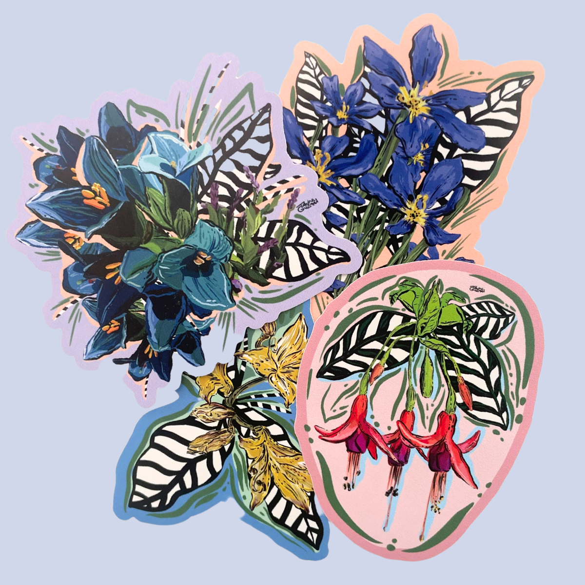 SET DE STICKERS CLUB