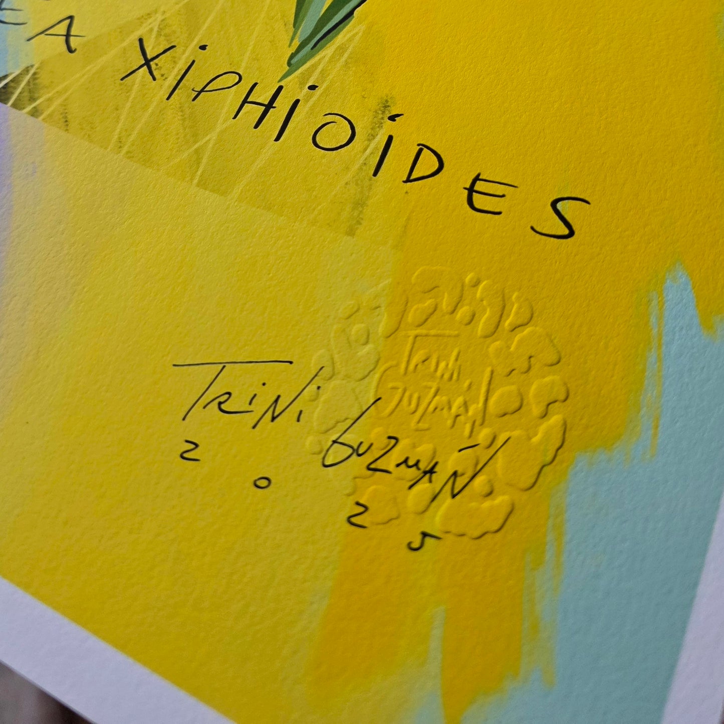 Print Calydorea edición limitada